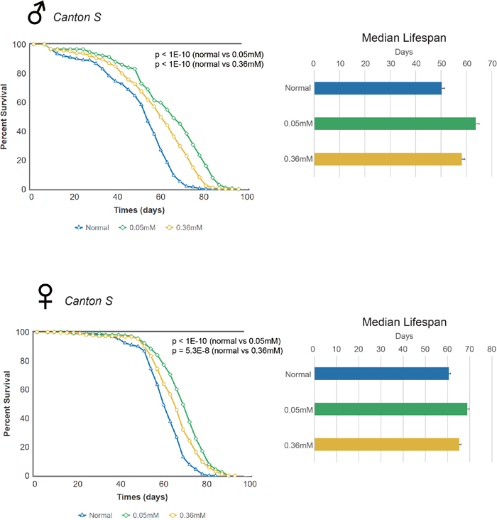 Minocycline extends lifespan in Canton S Drosophila strain.