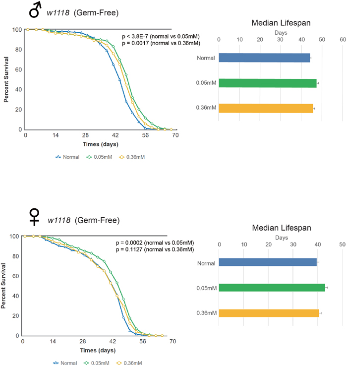 Minocycline extends lifespan in germ-free w1118 Drosophila strain.