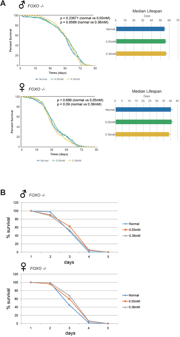 Minocycline fails to extend lifespan and barely increases resistance to oxidative stress in FOXO-null flies.