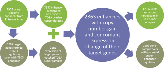 The computational pipeline to explore the CNV of enhancers.