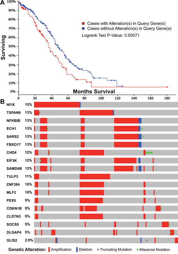 Survival and mutational analyses for the 18 genes with a significant prognostic feature in the TCGA ovarian cancer dataset.