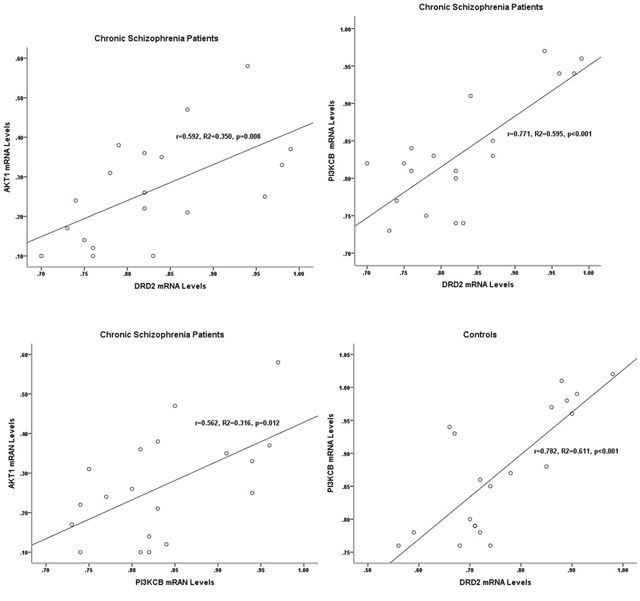 Correlations between the gene expression levels of DRD2, AKT1, and PI3KCB in two groups.