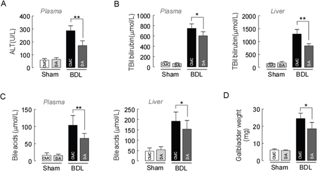 Effect of DA on BDL-induced liver injury.