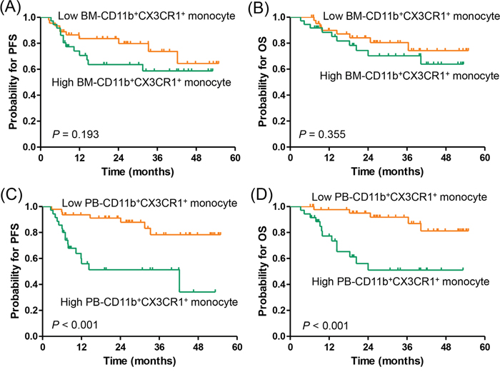 Progression-free survival and overall survival according to CD11b+CX3CR1+ monocyte percentage.