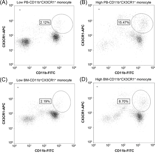 Identification of CD11b+CX3CR1+ monocytes in clinical samples.