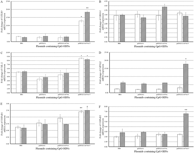 Immune responses to plasmids containing CpG ODNs in CIK cells.