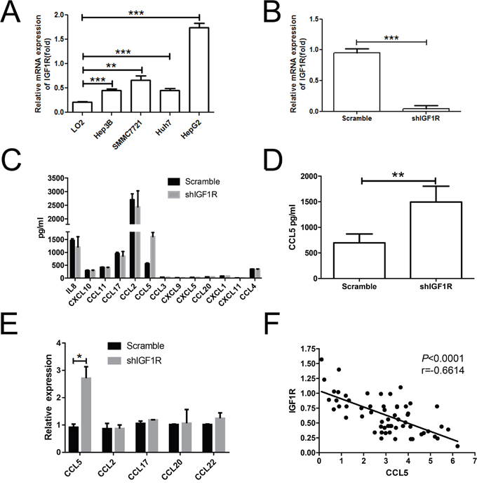 Knockdown of IGF1R led to the increase of CCL5 secretion.