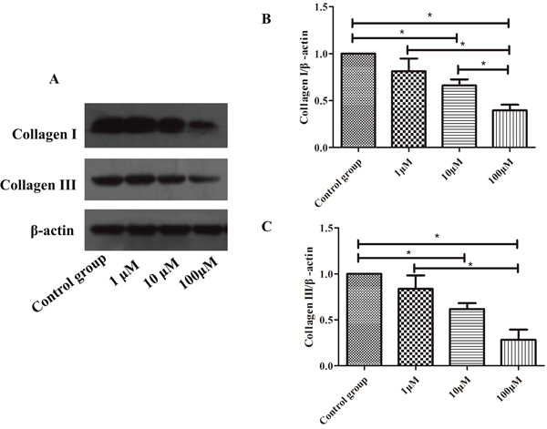 Figure 4: