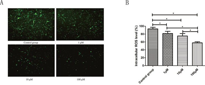 Figure 5: