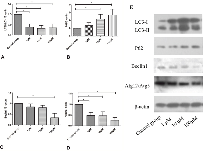 Figure 9: