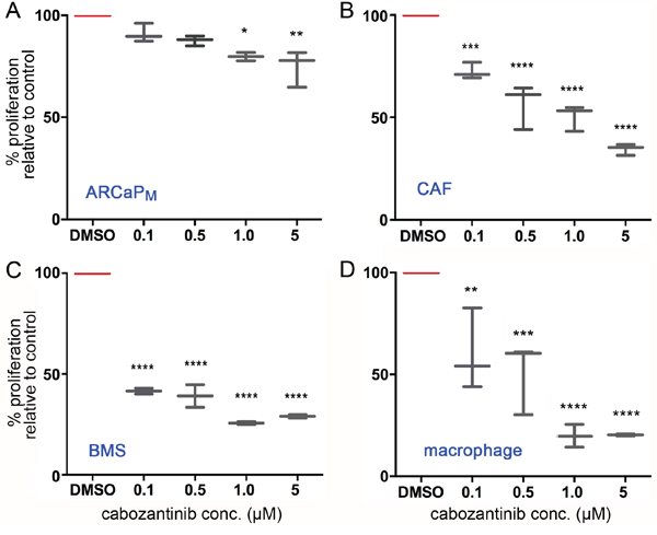 Cabozantinib has a greater efficacy on the tumor microenvironment compared with PCa cells.