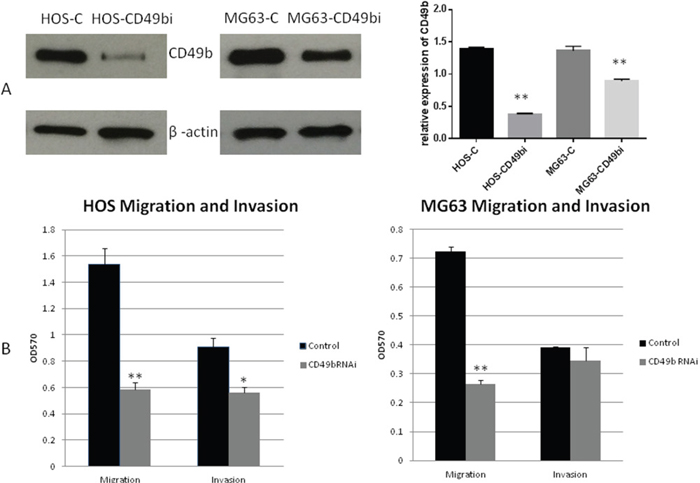 Figure 4: