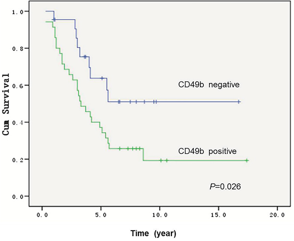 Kaplan-Meier curves for overall survival in 57 osteosarcoma patients with or without positive CD49b staining, showing that patients with CD49b&#x2013;positive tumors had significantly worse overall survival (p=0.026) than patients with CD49b&#x2013;negative tumors.