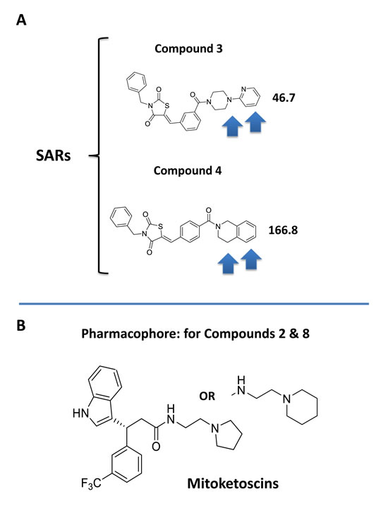 Structure activity relationships (SAR) for compounds 3 and 4.