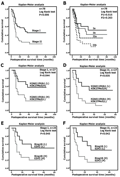 H2AK119Ub1 and H3K27Me3 correlate with clinical prognosis.