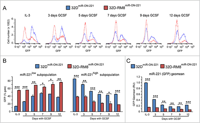 GCSF-induced miR-221 downregulation is exacerbated in 32D-RM8miR-ON-221 cells relative to 32DmiR-ON-221 cells.