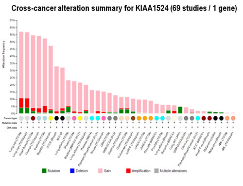 Changes in CIP2A in different cancers: Cross-cancer alteration summary for KIAA1524 (69 studies / 1 gene): The graph was generated using c-BioPortal.
