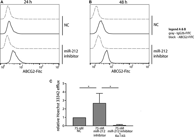 Functional analysis of miR-212 inhibition on ABCG2 protein expression and ABCG2-dependent efflux.