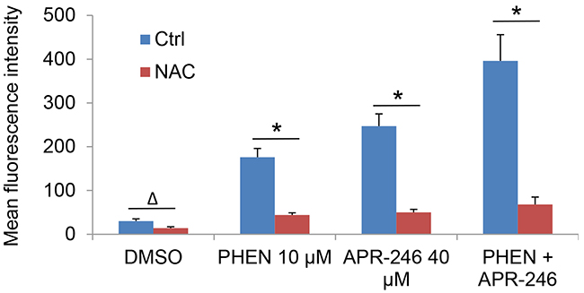 PARP-1 inhibition promotes the accumulation of ROS in APR-246-treated HNSCC cells, which is abrogated by pretreatment of antioxidant NAC.