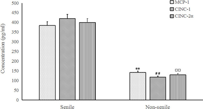 MCP-1 (A), CINC-1 (B) and CINC-2&#x03B1; (C) protein concentrations in BALF from senile and non-senile pneumonia patients.