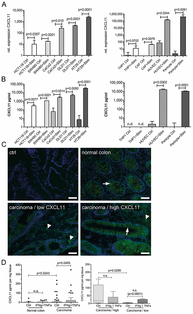 Cancer and stroma cells produce CXC-chemokines.