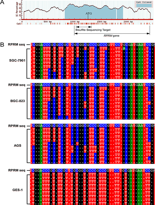 The methylation of RPRM promoter region analyzed by bisufite sequencing.
