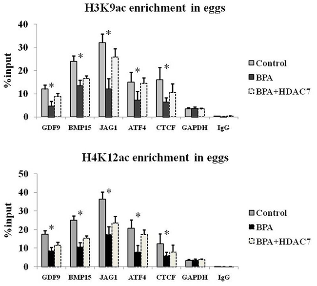 The H3K9ac and H4K12ac enrichment of relative genes in eggs.
