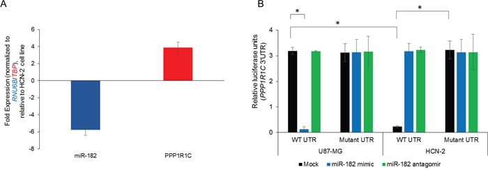 PPP1R1C is a bona-fide target of miR-182 in the glioblastoma cell line U87-MG.