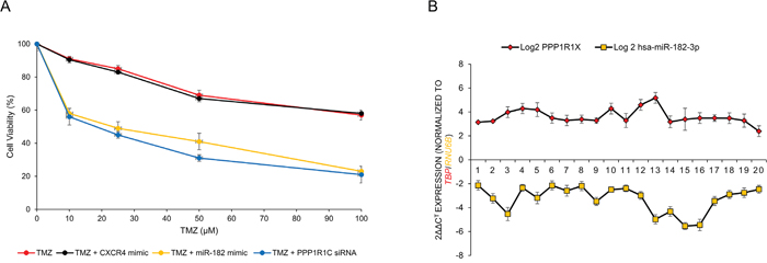 MiR-182 and PPP1R1C levels are inversely correlated in glioblastoma patients and their modulation can be used to increase sensitivity to temozolomide (TMZ).