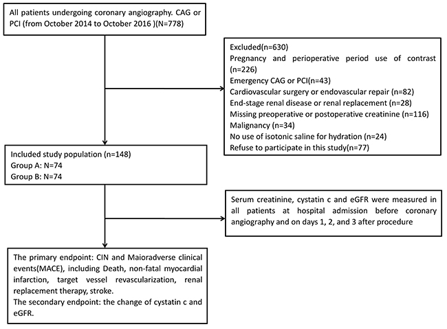 Flow diagram of patients with unstable angina undergoing coronary angiography and/or PCI.