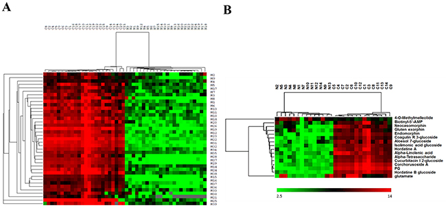 Figure 4: