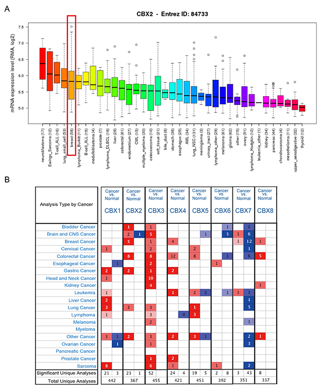 The mRNA expression of CBX family members in different cancer types.