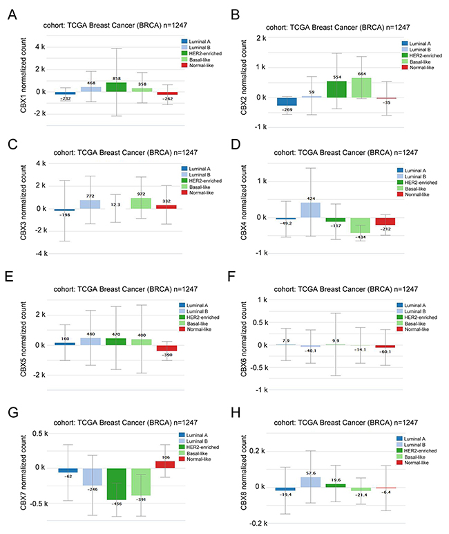 CBX members were distinctively high expressed in breast cancer subtype from Xena analysis.