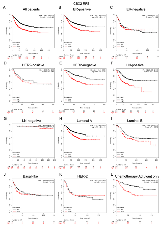 The prognostic values of CBX2 in breast cancer.