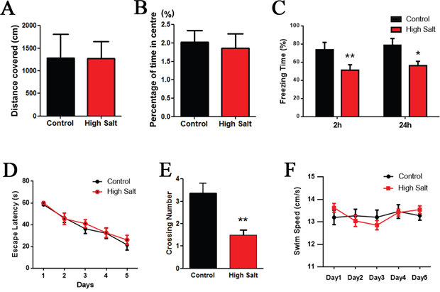 High salt induced hypertension induces cognitive impairment in rats.