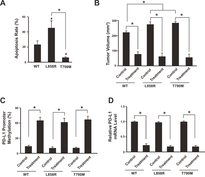 Anti-PD-1 therapy contributes to PD-L1 promoter methylation in the mice model.