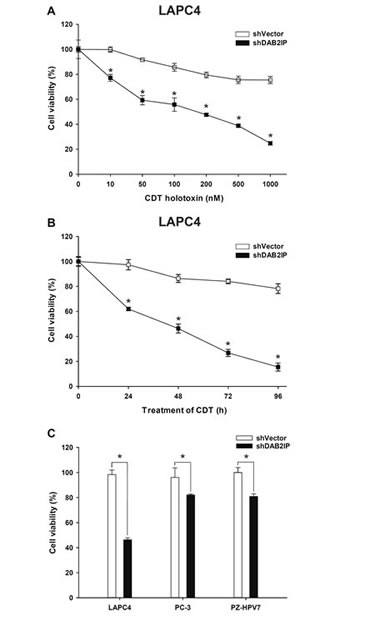 DAB2IP-deficient PCa cells are susceptible to CDT.