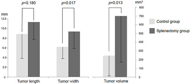 Tumor size and volume in splenectomy and control groups.