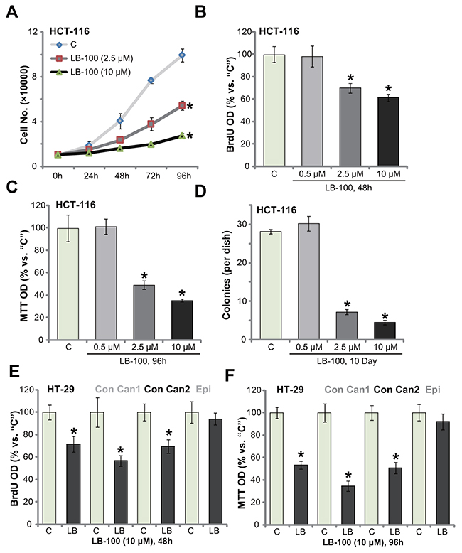 LB-100 inhibits survival and proliferation of CRC cells.