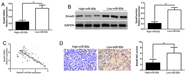 An inverse correlation between miR-92b and Smad3 expression is observed in NPC.