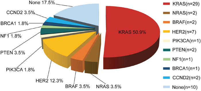 Molecular profiling of actionable genetic alterations in 57 CRC patients.