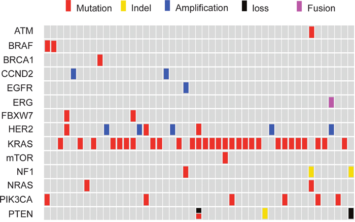 Comprehensive annotation of actionable genetic alterations identified by NGS assay in 57 CRC.