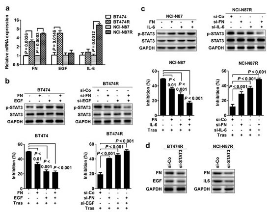 Heterogeneous mediators cause STAT3 heperactivation contributing to trastuzumab resistance.