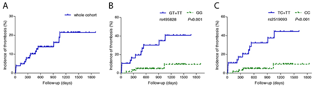 Cumulative incidence of thrombosis in PNH patients with different ABO genotypes.