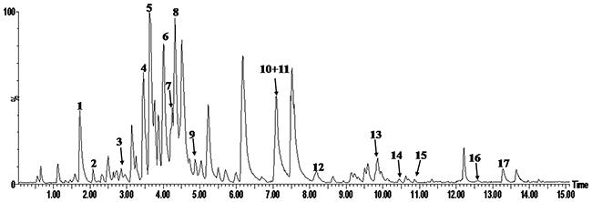 Representative UPLC- PDA -TOFMS chromatograms of EGb 761 in the negative ion mode.