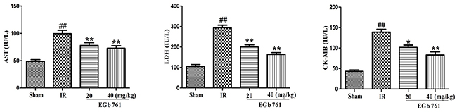 EGb 761 decreased the level of AST, CK-MB and LDH.