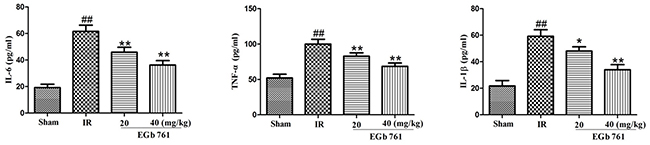 EGb 761 inhibited inflammatory cytokines.