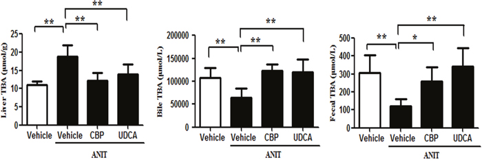 CBP decreases the liver, bile, and fecal total BA levels in mice with intrahepatic cholestasis.