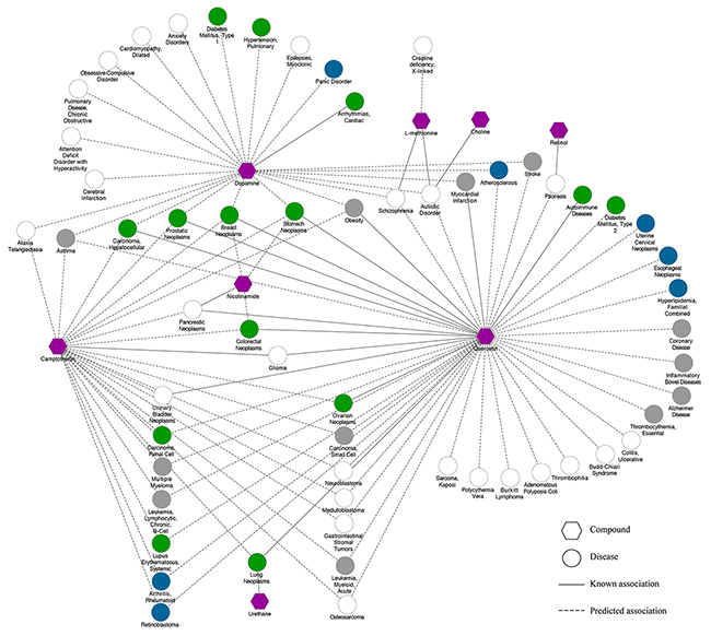 The LDW associated compound-disease network.