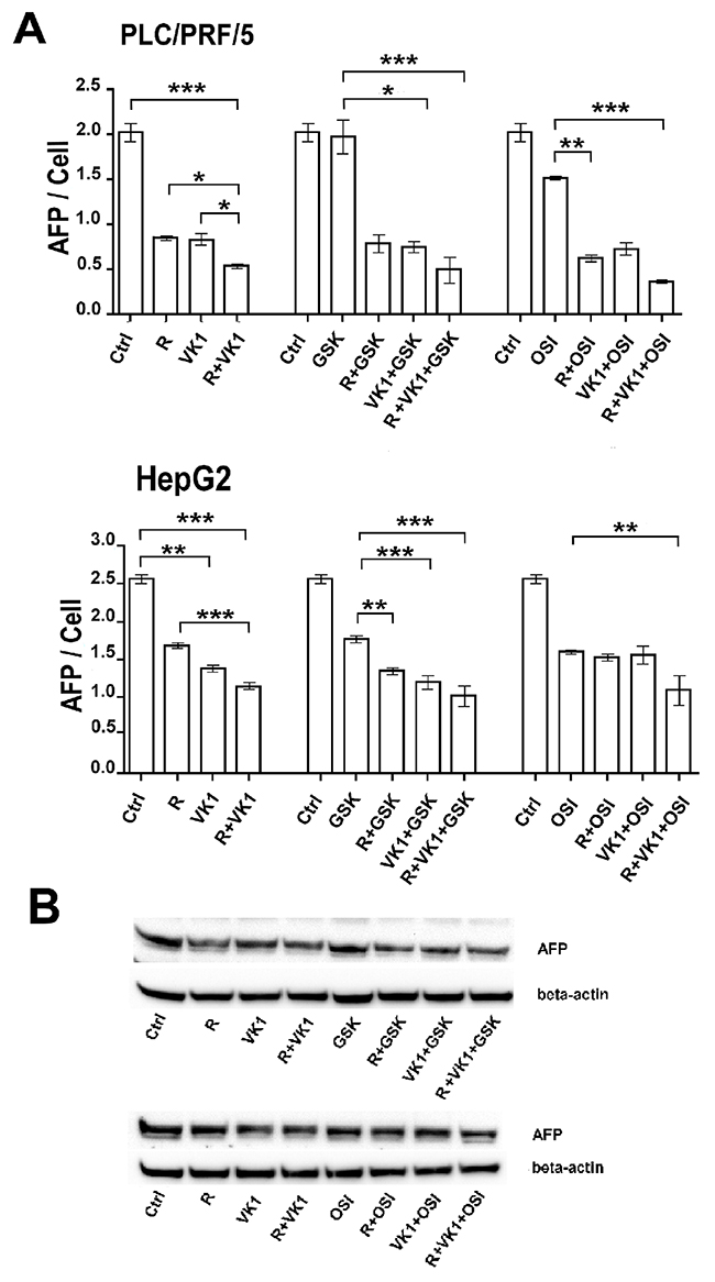 GSK1838705A and OSI-906 potentiate the Regorafenib/VK1-mediated inhibition of AFP secretion.